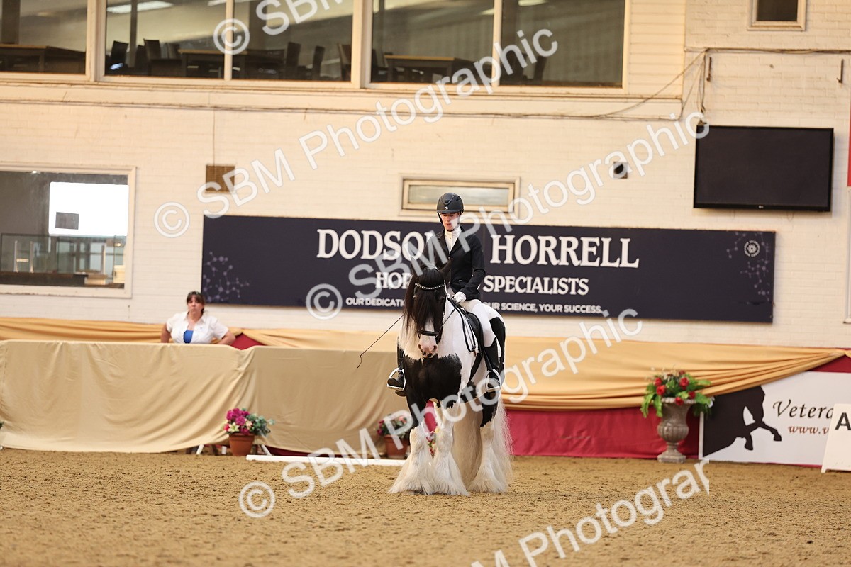 SBM_09275 - Class 51 Dressage to Music
