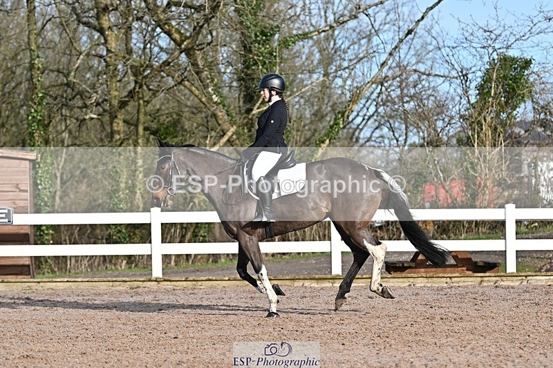 250125-104838-00238 - Dressage - CT Class 4 BE95 (80cm)