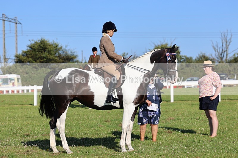 IMG_1287 - Class 27: Ridden Plaited Coloured Horse