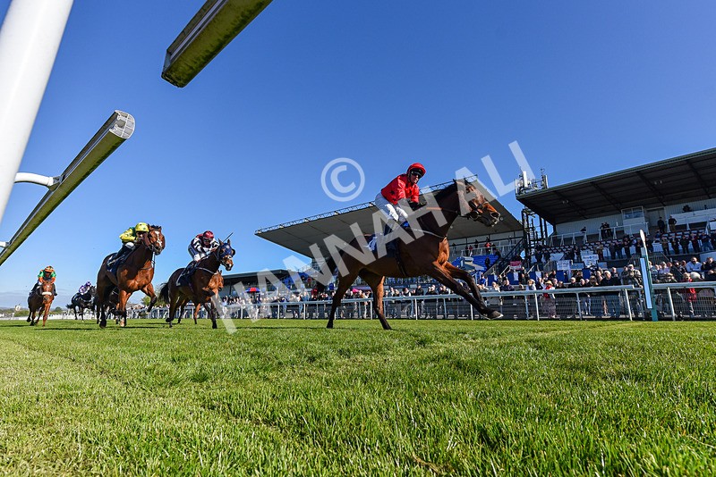 230426-Race 7-Sunny Orange-6555 - Race 7