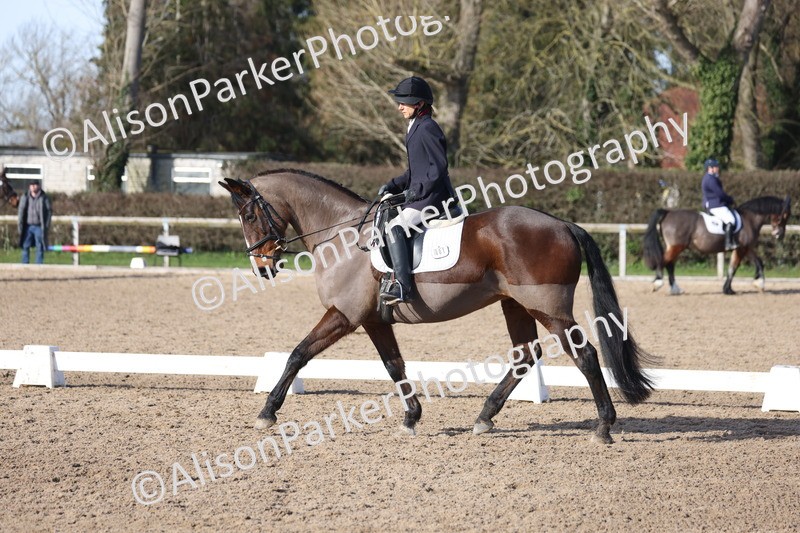 20260214-0542 - Class 5 - Novice 3