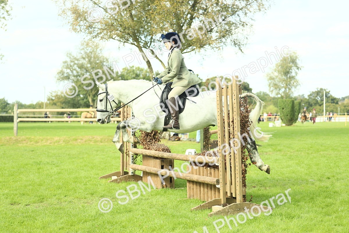 SBM_48004 - S32 - Novice & Newcomers Working Hunter