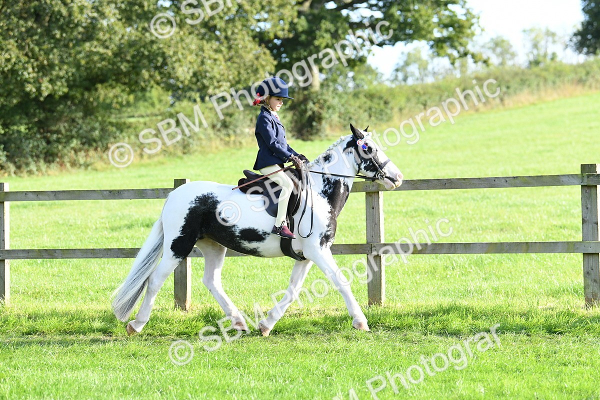SBM_52386 - S22 - 1st Ridden Show & Show Hunter Pony