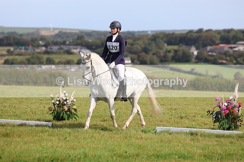 3E7A6213 - Class 1: Trebudannon Open: Dressage (Part 2)