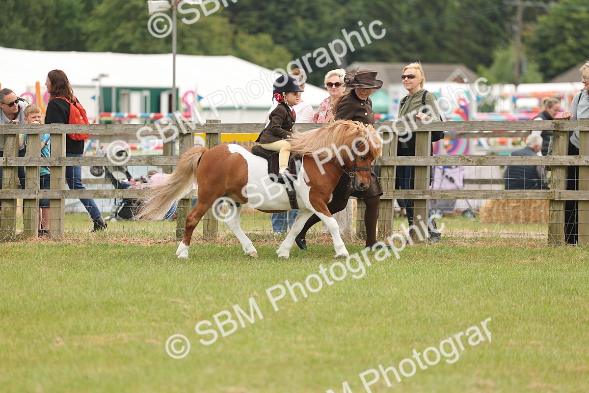 SBM_06651 - Class 74-75 - M&M Lead Rein and First Ridden Pony