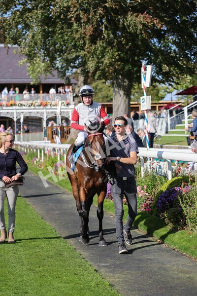 yr08102021r1-32 - Race 1 2.05pm Parsonage Hotel and Cloisters Spa Nursery Handicap