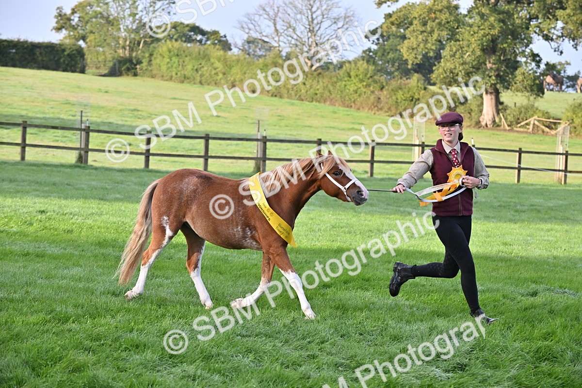SBM_54647 - S44 - Youngstock In Hand