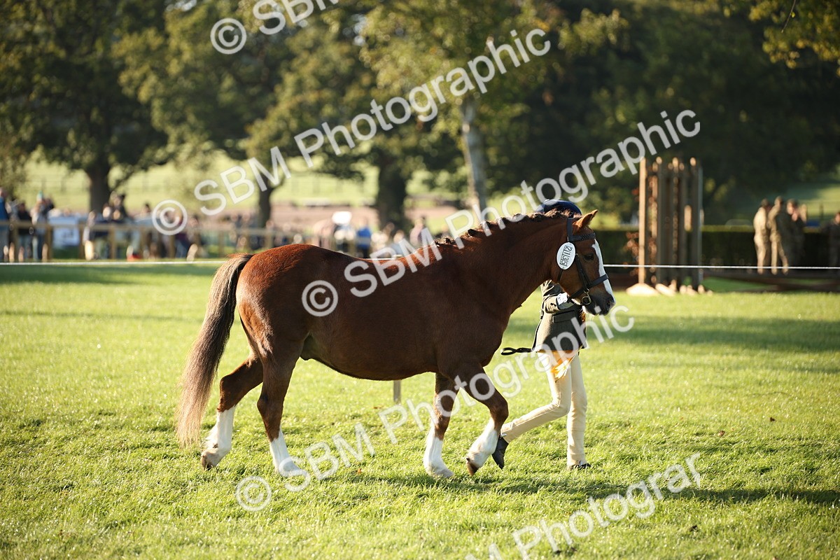 SBM_32402 - S8 - Best Turned Out