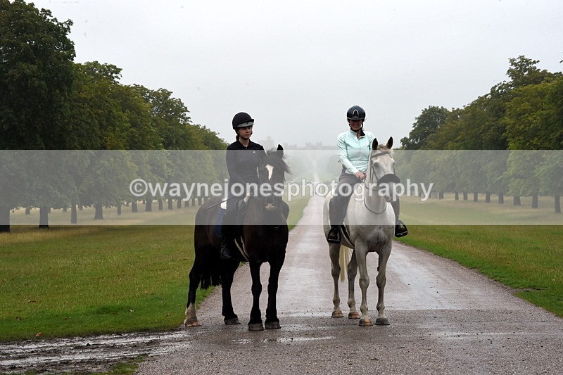 TT3_8376 - Time at Crossing 10:16 to 11:38