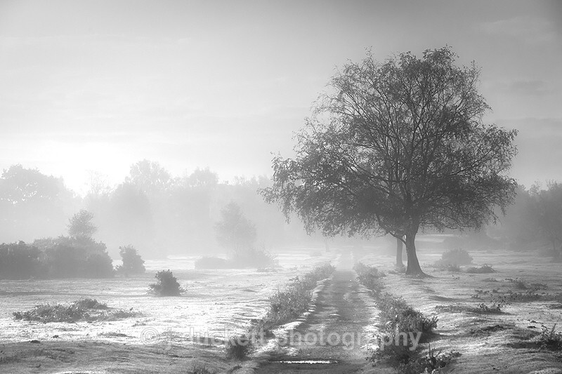  - Squint into the Light (inland)