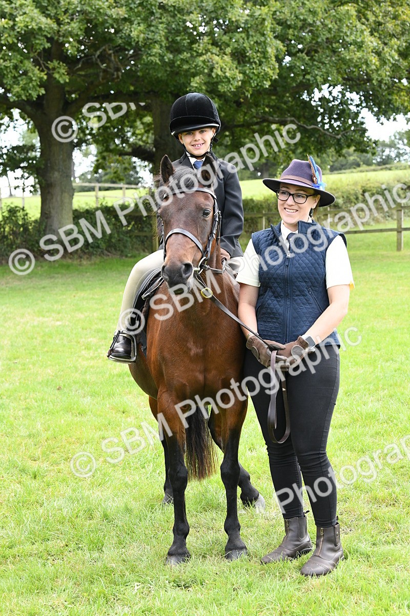 SBM_42560 - S20 - Lead Rein Mountain & Moorland Pony