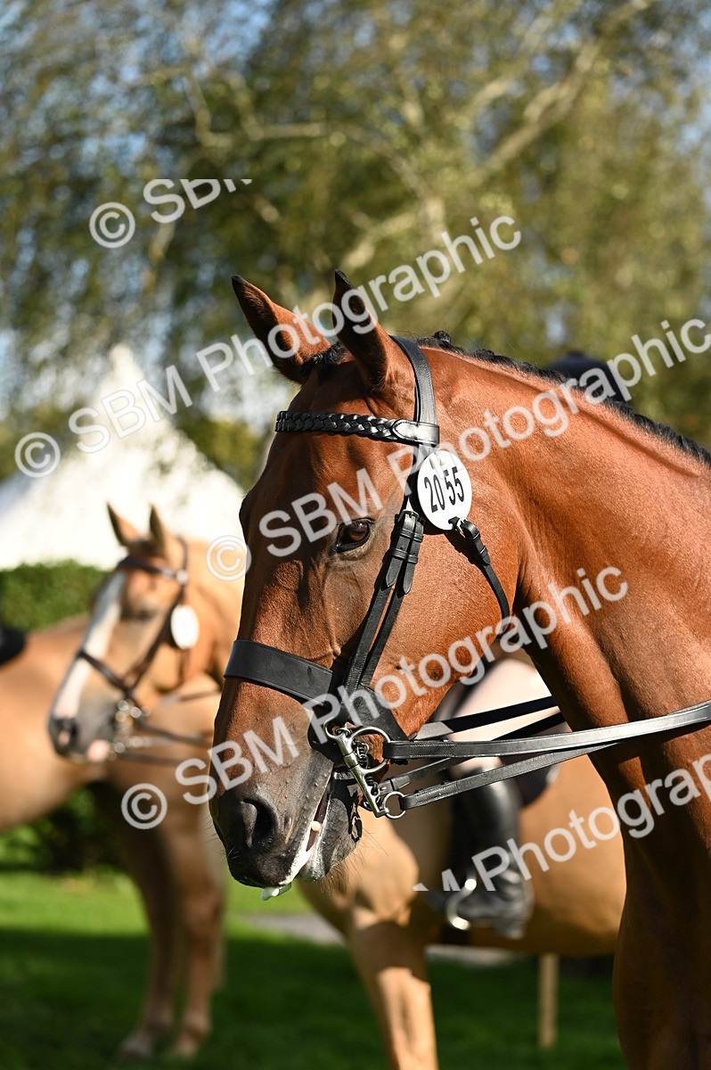 SBM_26441 - S6 - Novice & newcomer Ridden horse