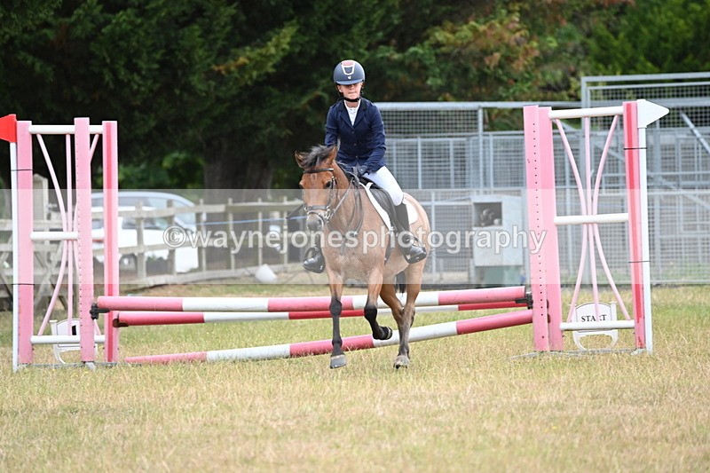 WJ6_9983 - Class 13 Novice Jumping 60cm