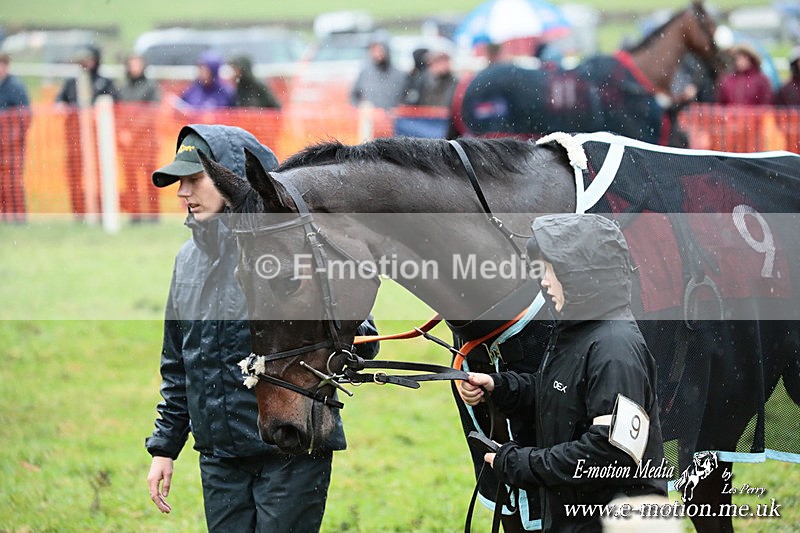 PtP 091125  0253 - Point-to-Point Wales Area Club Lower Machen, Gwent 09/11/25