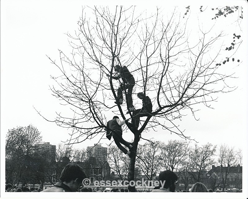  - Rock against racism Victoria Park  1978