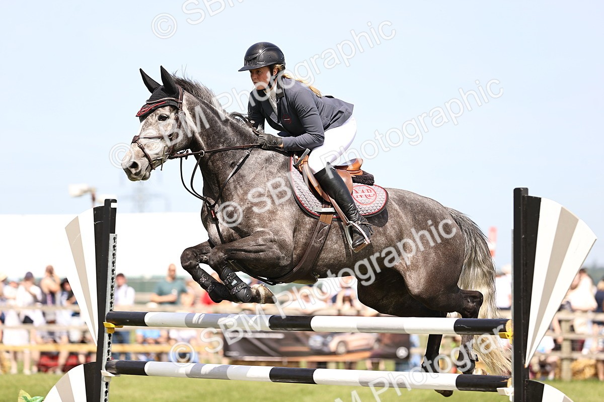 SBM_03234 - Class 201 - British Horse Feedds Speedi Beet HOYS Grade C