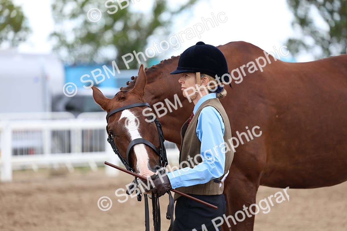 SBM_05114 - Class 27 - IH Competition Horse or Pony