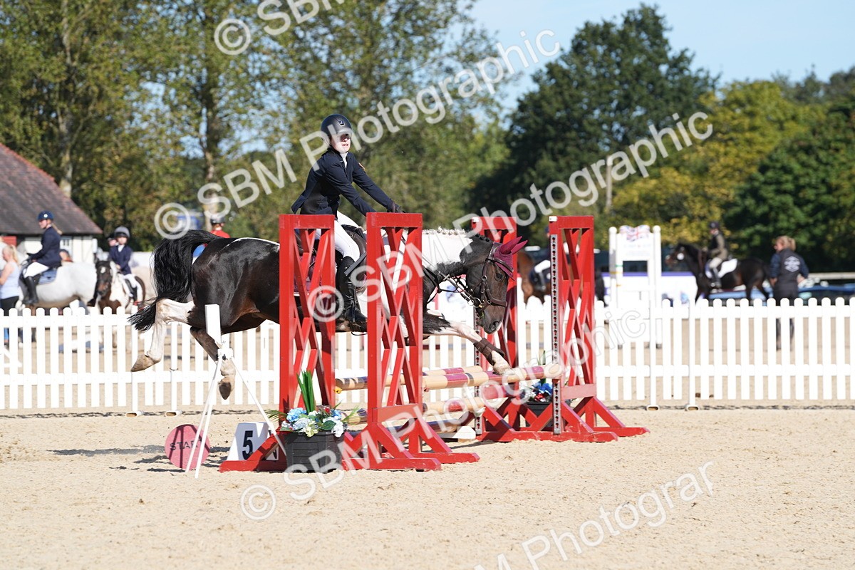 SBM_38705 - J21 - Junior Horse 60cm Championship