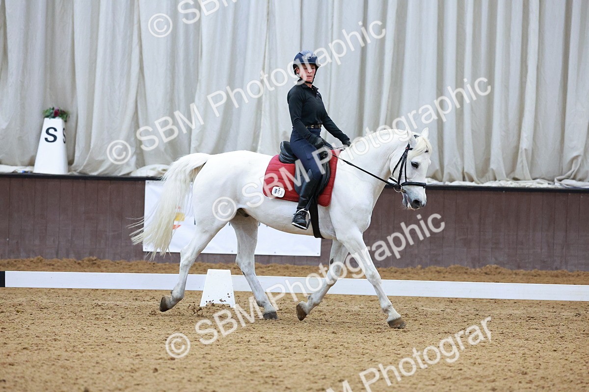 1I0A0570 - Class 3-6 - Prelim 1-Novice 2