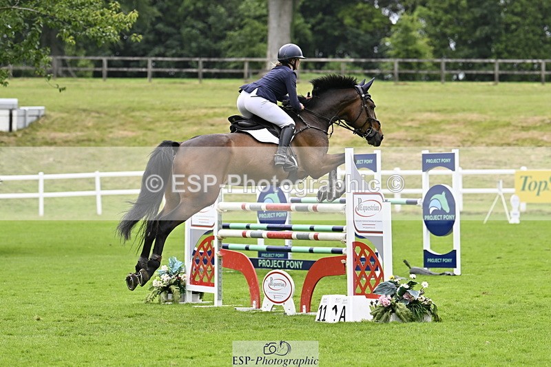 250613A-134927-02366 - Cls 3 Snr Foxhunter