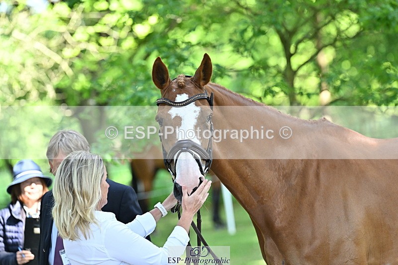 250521A-160157-00875 - C-227-Jonelle.Price-I.LIKE.IT.DE.ROHAN