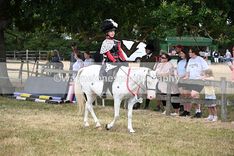 WJ6_4613 - Class 11 Fancy Dress