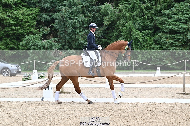 240811-132422-05952 - Medium Silver