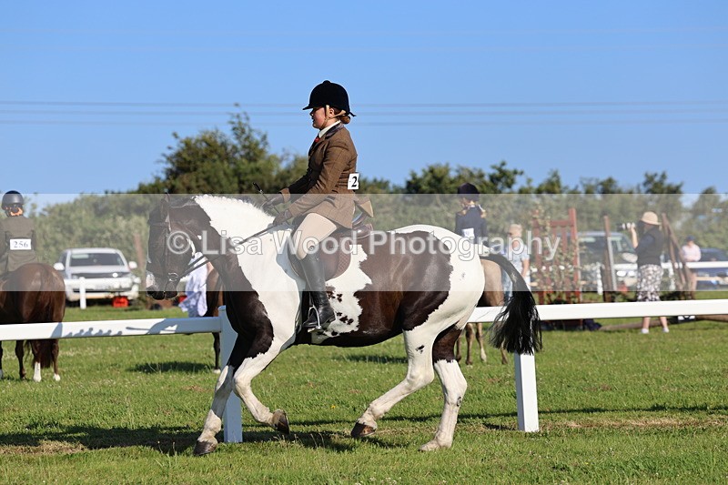 IMG_1385 - Class 28: Ridden Plaited Coloured Pony
