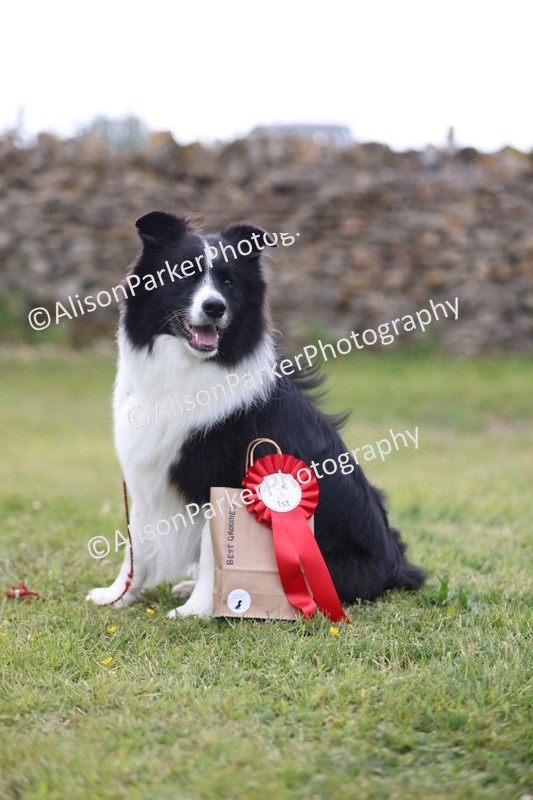 20250607-0335 - Class 8 - Best groomed