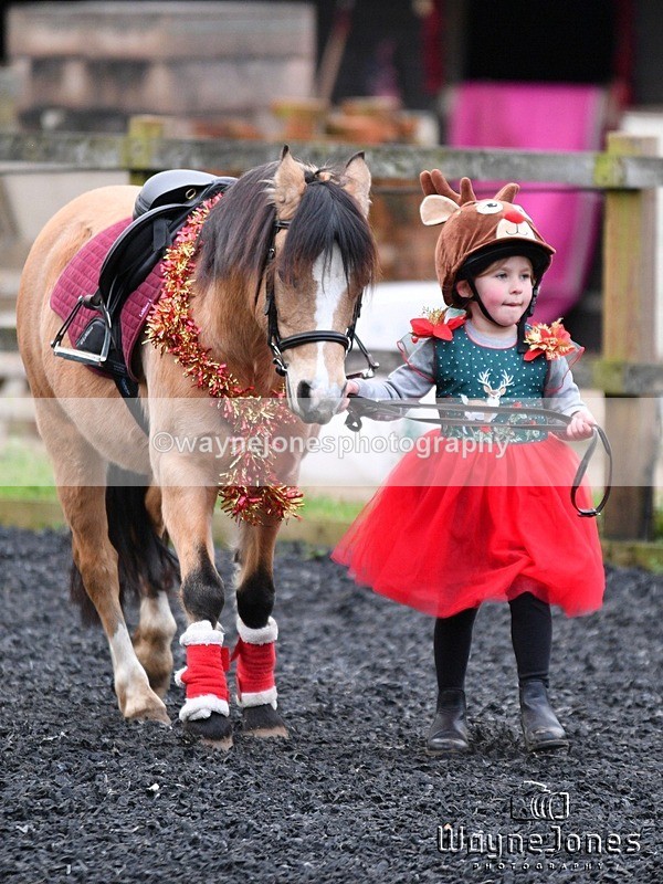 WJ5_3835 - Tanners Christmas Yard Fun 23-12-24