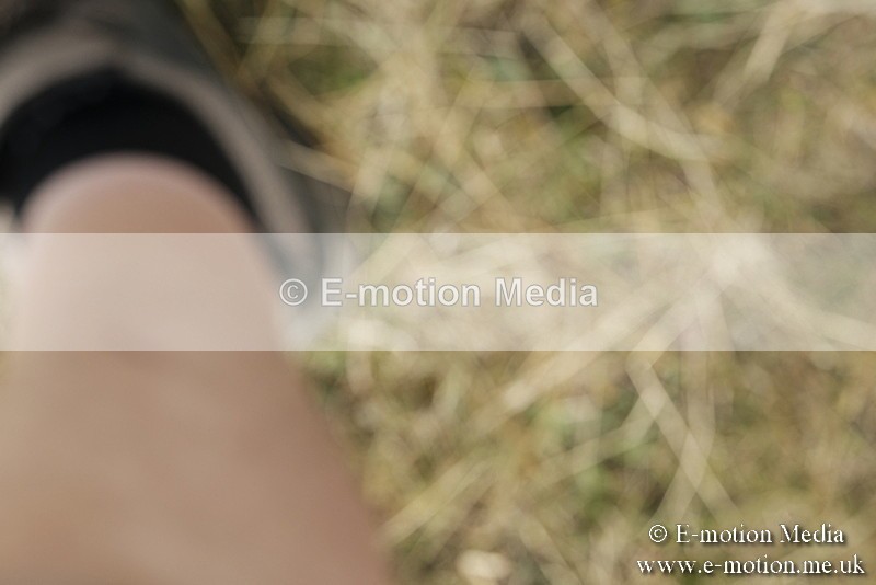 _PJP5662 - Dressage Classes BVRC Show 2018