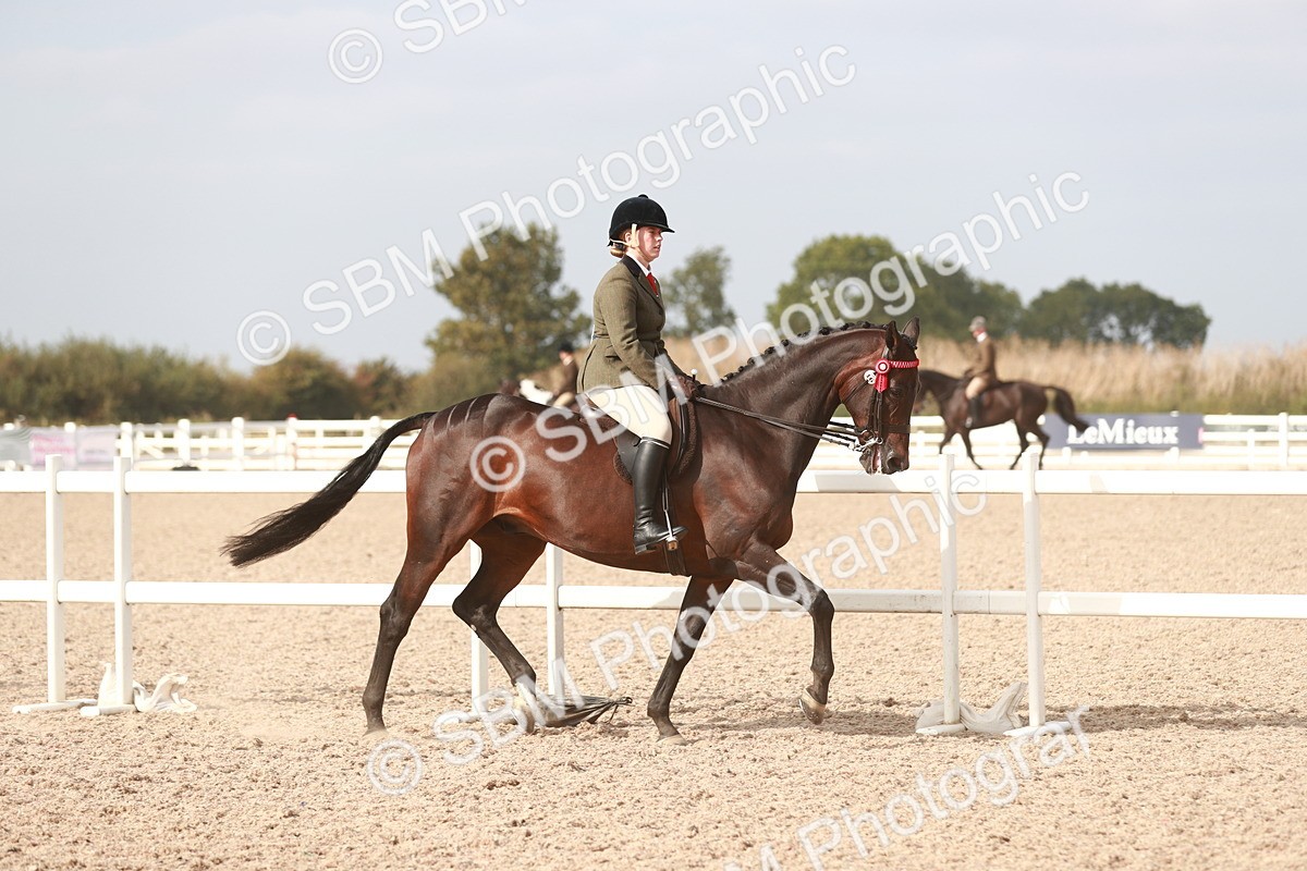 SBM_17476 - Class 215 Ridden Hack/ Riding Horse
