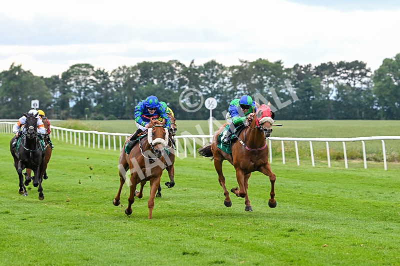 170625-Race 4-Lord Abama-5154 - Race 4
