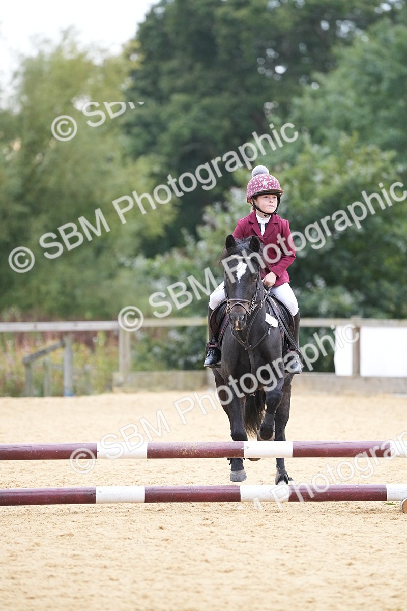 SBM_74563 - J4 - Mini Tour Junior Pony 45cm Championship