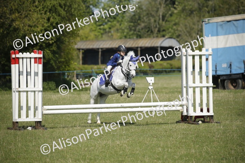 20250427-2046 - Class 13 - Novice Jumping 60cm