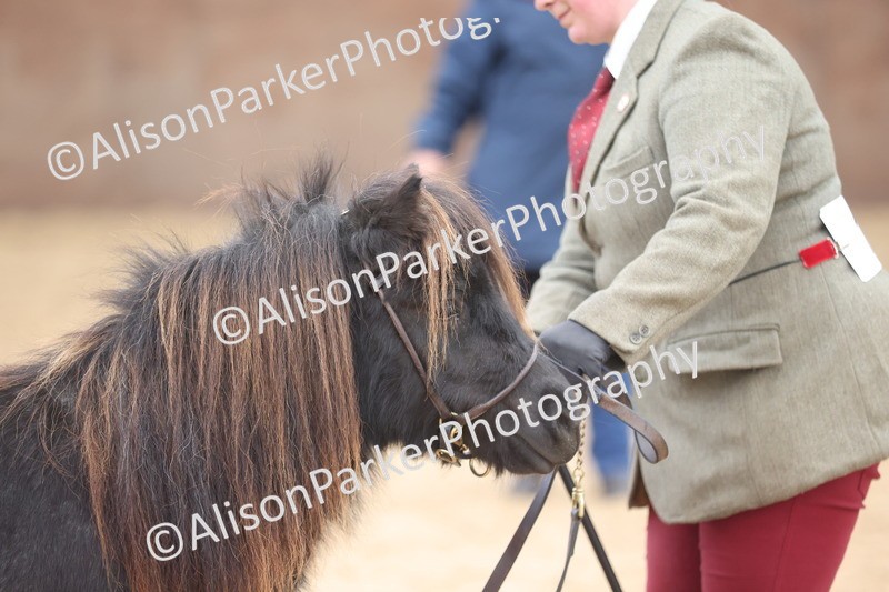 20251109-0247 - Class 11 - 2 and 3 Year Old