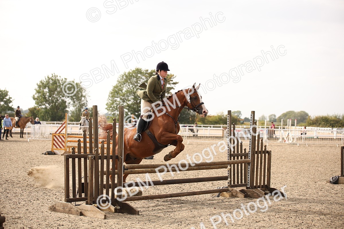 SBM_17305 - Class 410a - Wor5king Veteran 90cm (15-19)