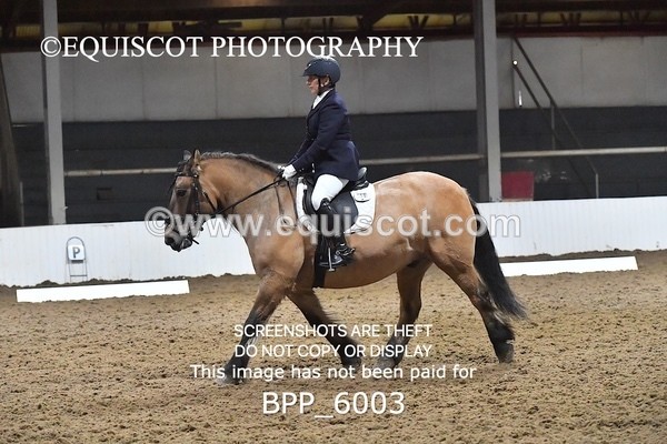 BPP_6003 - ELEM TEST 4