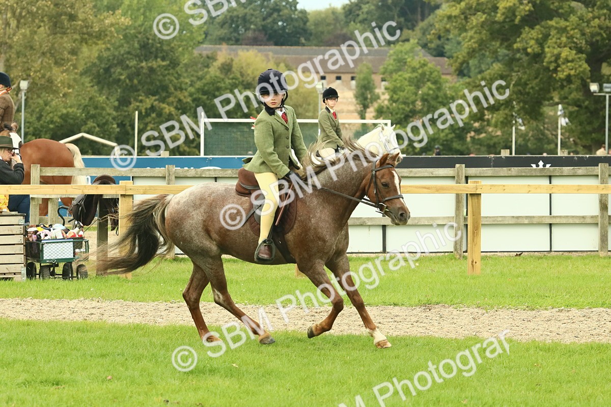 SBM_69960 - S59 - Mountain & Moorland Ridden Small Breeds