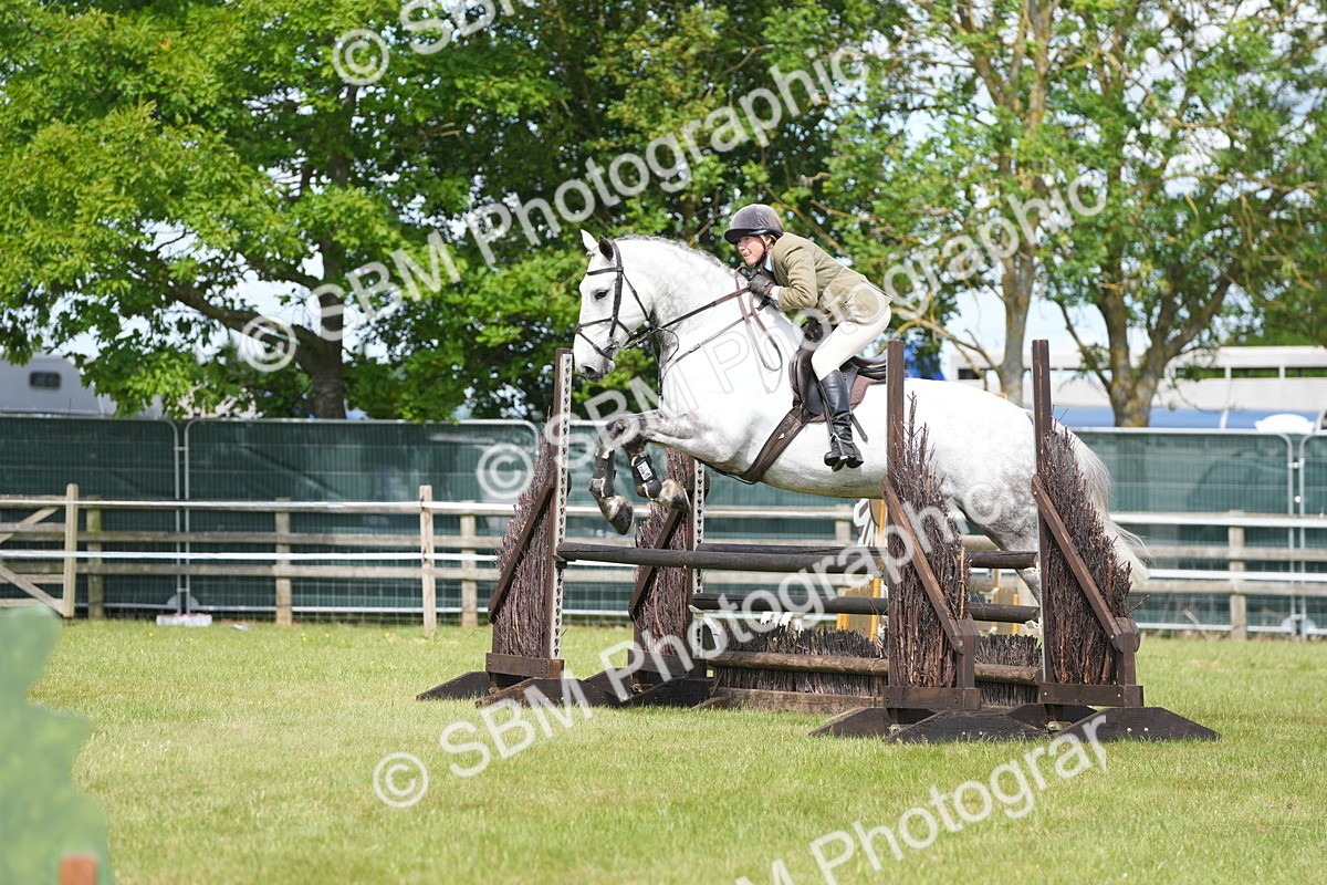 SBM_14859 - Class 100-102 - RIHS Working Hunter