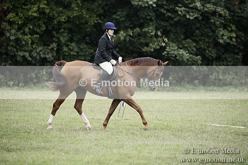 BVR090918 124 - BVRC Dressage and Show Jumping 09/09/18