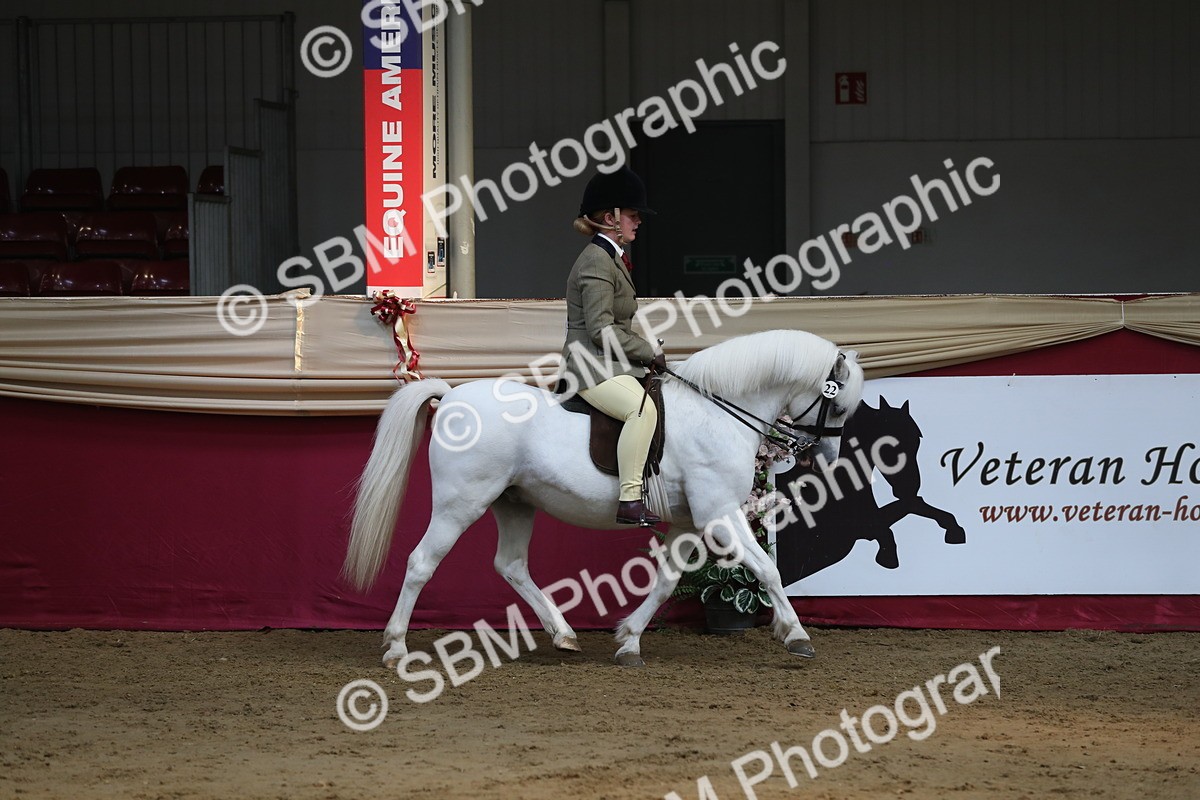 SBM_08275 - Class 11R Regional Ridden Veteran