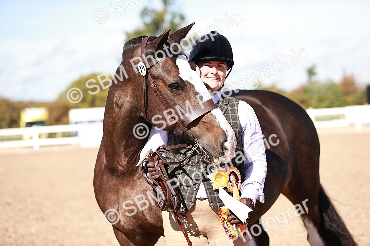 SBM_13254 - Class 405 - IH Show Cob