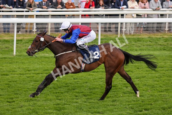 yr13052022r7-45 - Race 7 5.15pm Longines Irish Champions Weekend Stakes