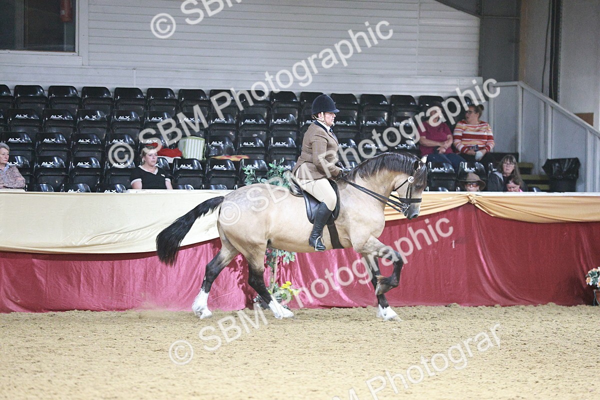 SBM_09022 - Class 12R - Regional Ridden Pre-Vet