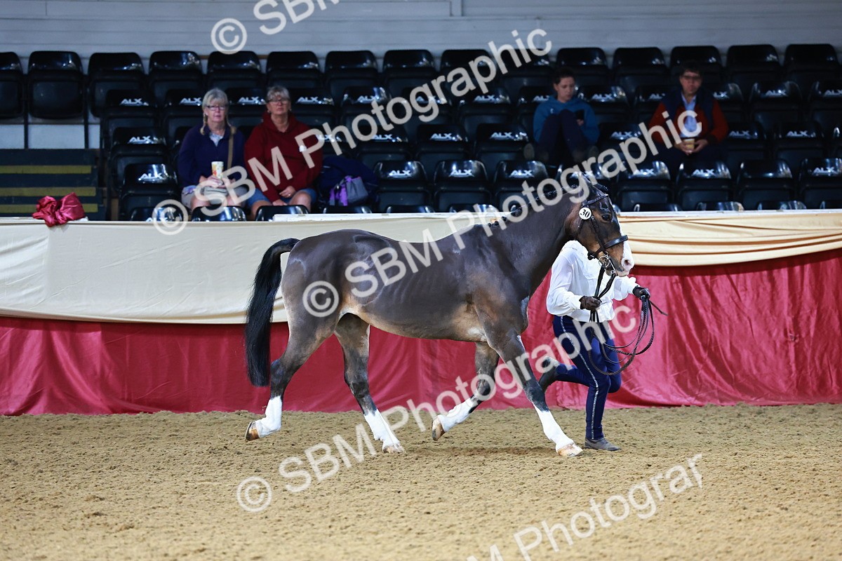 SBM_21734 - Class 901 - Supreme Final - IH  Diamond