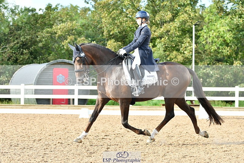 230912A-171028-01948 - Cls 23 FEI Grand Prix