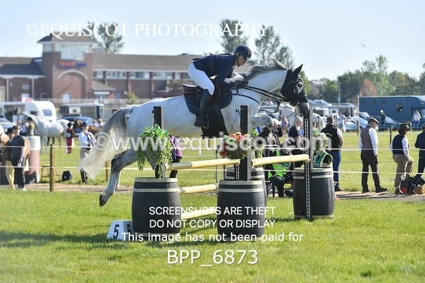 BPP_6873 - CLASS 1 Senior Newcomers/ 1.10m Open