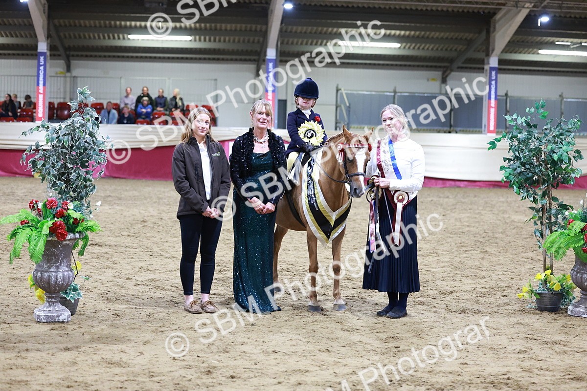SBM_20592 - Class H - IH Competition - Riding Club champ