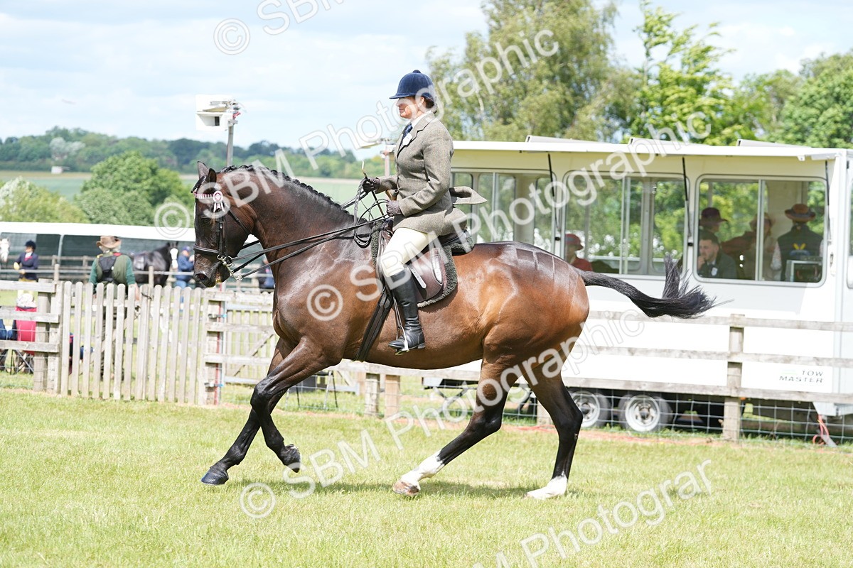 SBM_16254 - Class 105-106 - RIHS Riding Horses